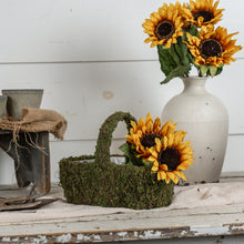 Load image into Gallery viewer, Moss Basket