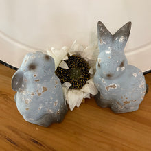 Load image into Gallery viewer, Weathered Blue Terracotta Bunnies