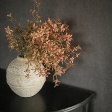 Load image into Gallery viewer, Salmon Oncidium Bush
