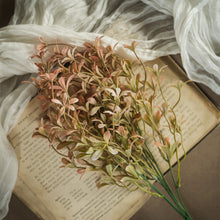 Load image into Gallery viewer, Salmon Oncidium Bush