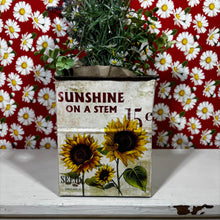 Load image into Gallery viewer, Sunshine on a Stem buckets
