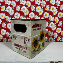 Load image into Gallery viewer, Sunshine on a Stem buckets