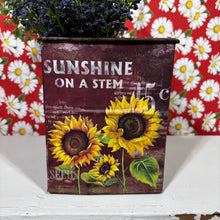 Load image into Gallery viewer, Sunshine on a Stem buckets