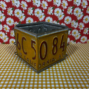 License Plate Box