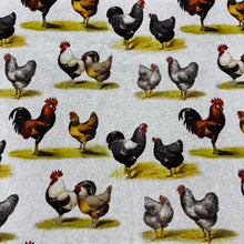 Load image into Gallery viewer, Assorted Farm Tea Towels
