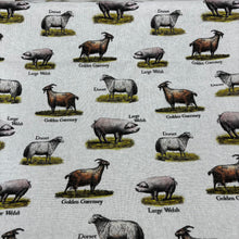 Load image into Gallery viewer, Assorted Farm Tea Towels