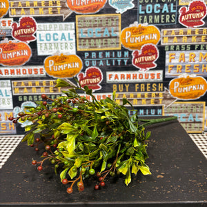 Seasonal bush