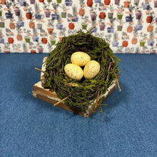 Load image into Gallery viewer, Bird Nest with Eggs