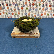 Load image into Gallery viewer, Bird Nest with Eggs