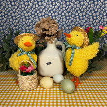 Load image into Gallery viewer, Spring Ducks Set