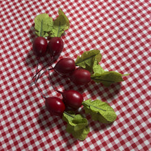 Load image into Gallery viewer, Red Radishes