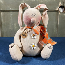 Load image into Gallery viewer, "Willy" the Goofy Rabbit