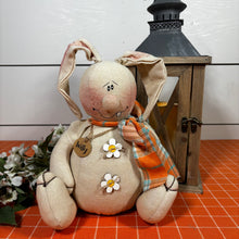 Load image into Gallery viewer, "Willy" the Goofy Rabbit
