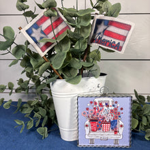 Load image into Gallery viewer, Americana Flag Wands  (Set of Two)