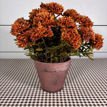 Load image into Gallery viewer, Potted Brown Mums