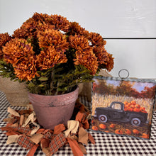 Load image into Gallery viewer, Potted Brown Mums