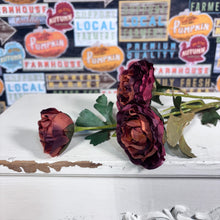 Load image into Gallery viewer, Beautiful Rose Stems