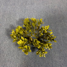 Load image into Gallery viewer, Boxwood Taper Candle Ring