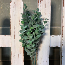 Load image into Gallery viewer, 14" Eucalyptus Leaf Spray