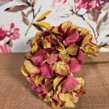 Load image into Gallery viewer, Hydrangea Stem