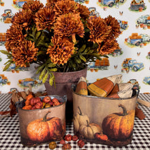 Load image into Gallery viewer, Pumpkin Still Life Bin Set
