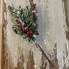 Load image into Gallery viewer, 16&quot; Evergreen with Red Berry Pick