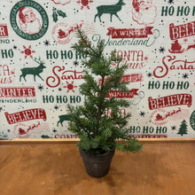 Load image into Gallery viewer, Potted Tall Pine Tree