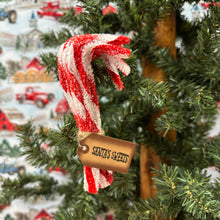 Load image into Gallery viewer, Sparkle Chenille Candy Canes