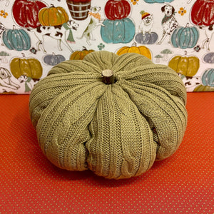 Soft, knit Sweater Pumpkin in sage.