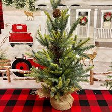 Load image into Gallery viewer, 24 inch Balsam Fir Holiday Tree with burlap base.