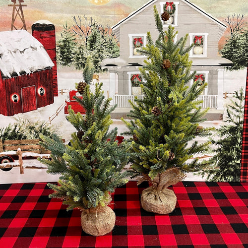 Balsam Fir Holiday Trees with burlap bases.