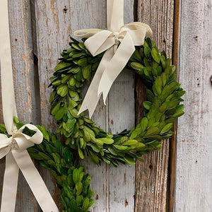 Beautiful green Boxwood Wreath with creamy white ribbon.