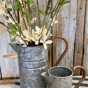 Galvanized Watering Cans (Small or Large)