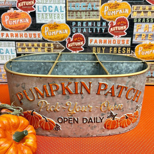 Pumpkin Patch Galvanized Bucket with divided spots for bottles or fall decor.