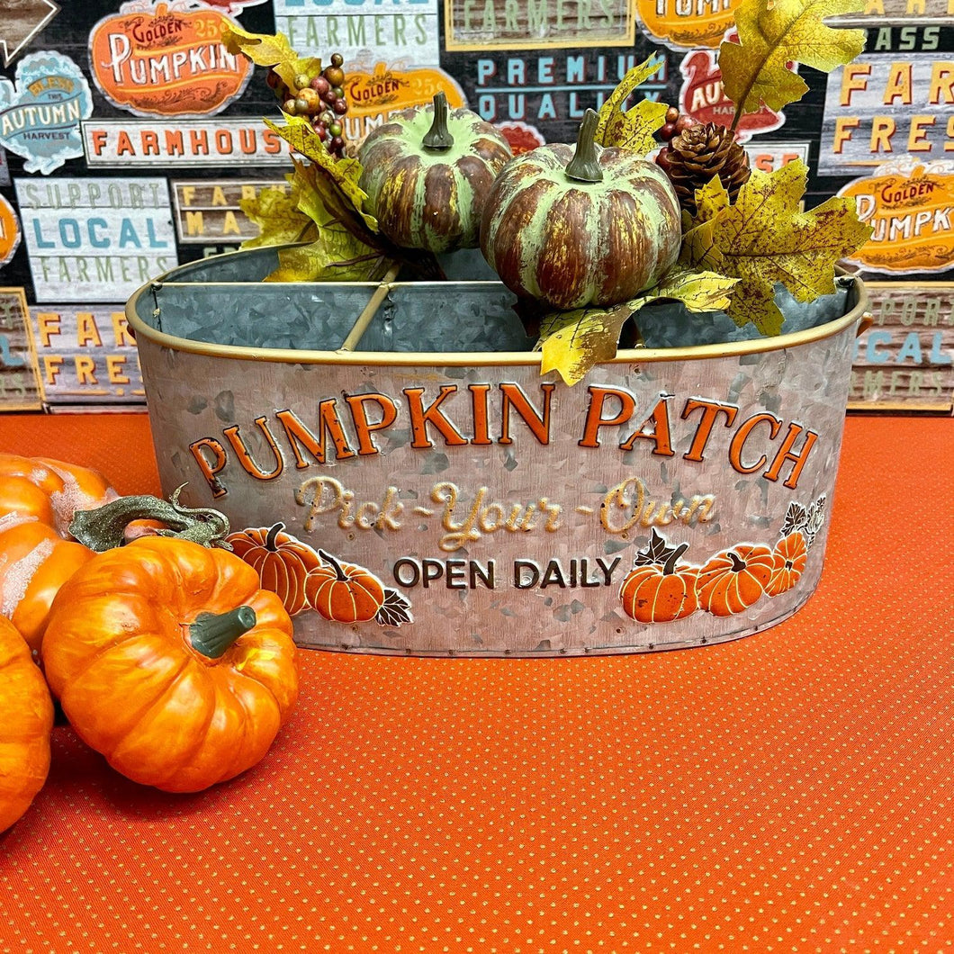 Pumpkin Patch Galvanized Bucket with divided spots for bottles or fall decor.
