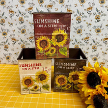 Load image into Gallery viewer, Colorful metal Sunflower Boxes with Spring graphics.